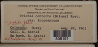 Image Associated With the Occurence